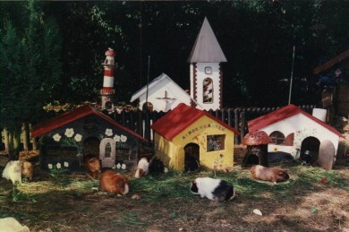 Meerschweinchendorf Strohhalm